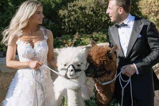 Ampersand Weddings & Events - 8
