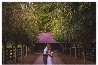 Vesic Photography - 30