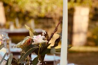 Benevo Events - 19