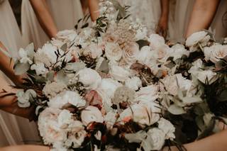 Petal & Wren - 53