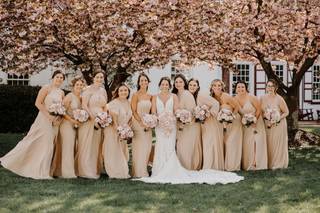 Bucks County Roses - 8