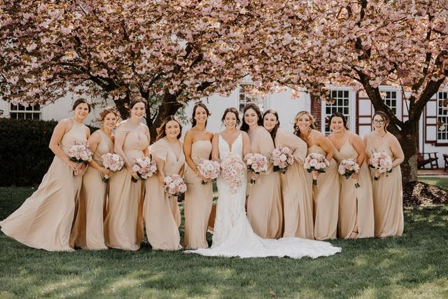 Bucks County Roses - 3