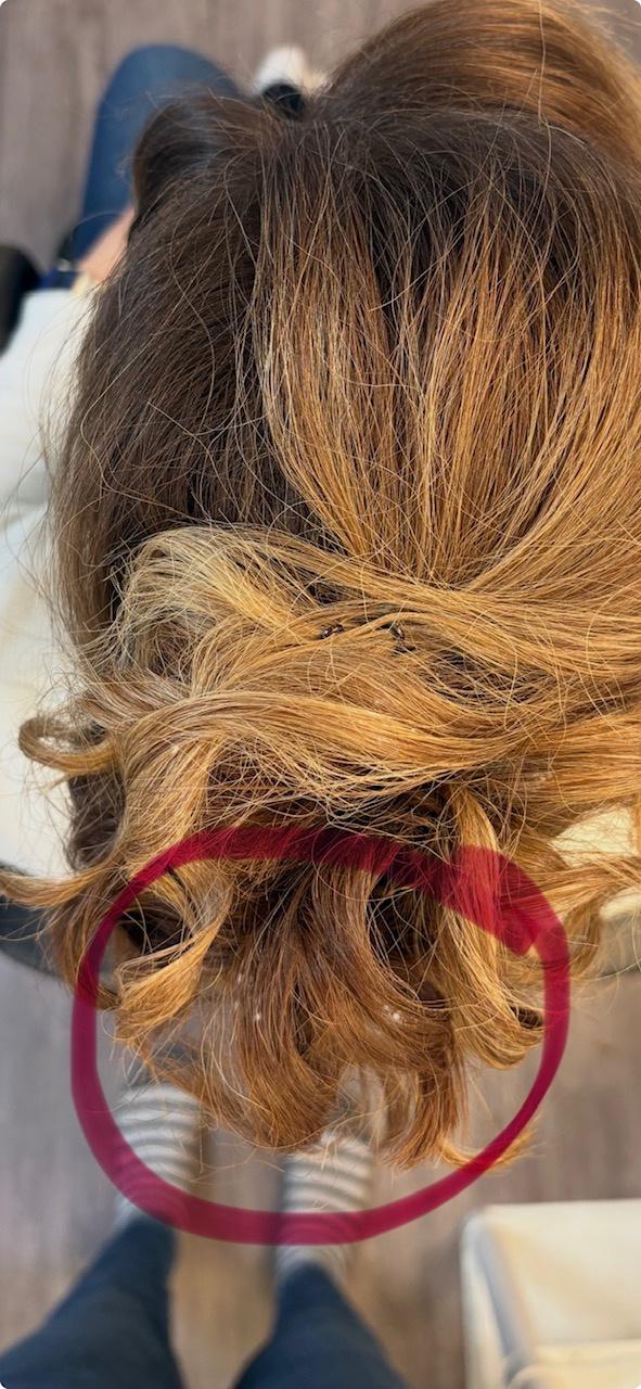 Beauty Knot - 2