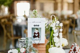 Set in Stone Events - 11