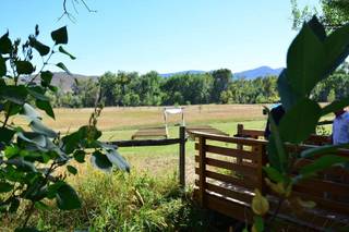 Rist Canyon Inn - 35