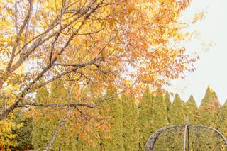 Jordyn Kasey Photography - 23