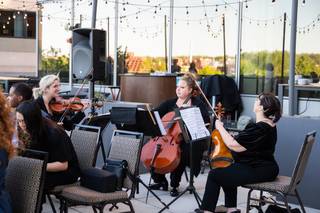 String Quartet of Northern Virginia - 8