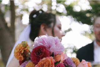 Fleurs du Soleil - 5