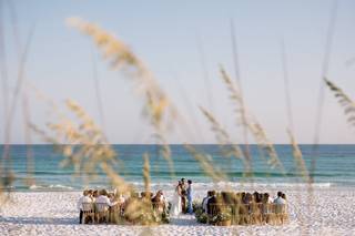 Ps Cobia Photography - 6