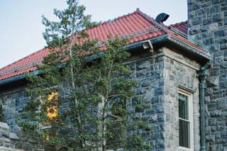 Tarrytown House Estate - 7