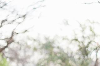 Cindy Medick Photography - 41