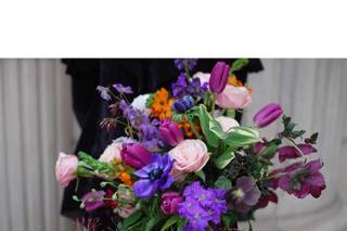 Phlox Tale Studio - 40