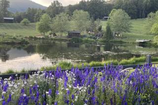 Cedarmere In The Blue Ridge - 7