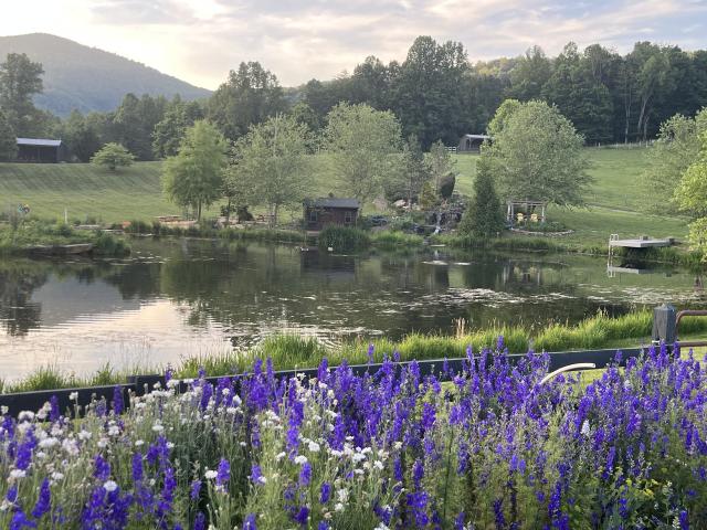 Cedarmere In The Blue Ridge - 4