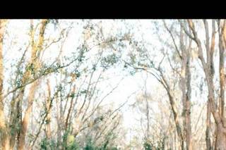Ledia Tashi Photography - 40