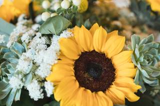Amore Fiori Flowers and Gifts - 5