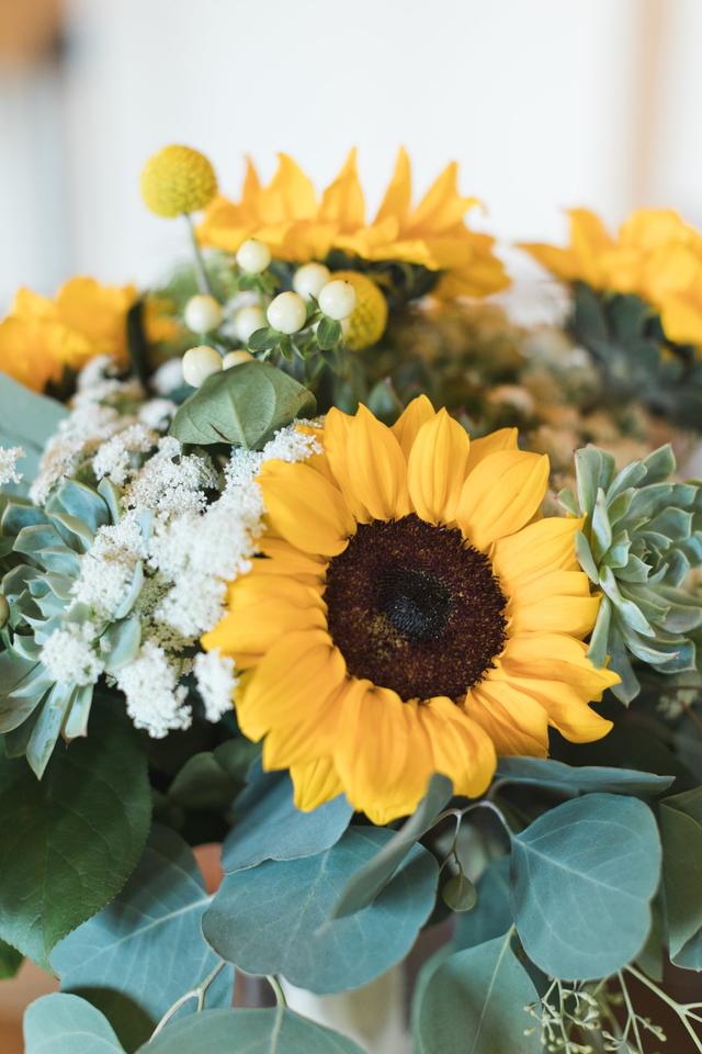 Amore Fiori Flowers and Gifts - 2