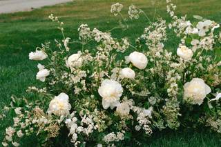 Lucy Blooms - 9