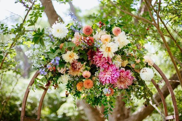 Kashner Photography - 3