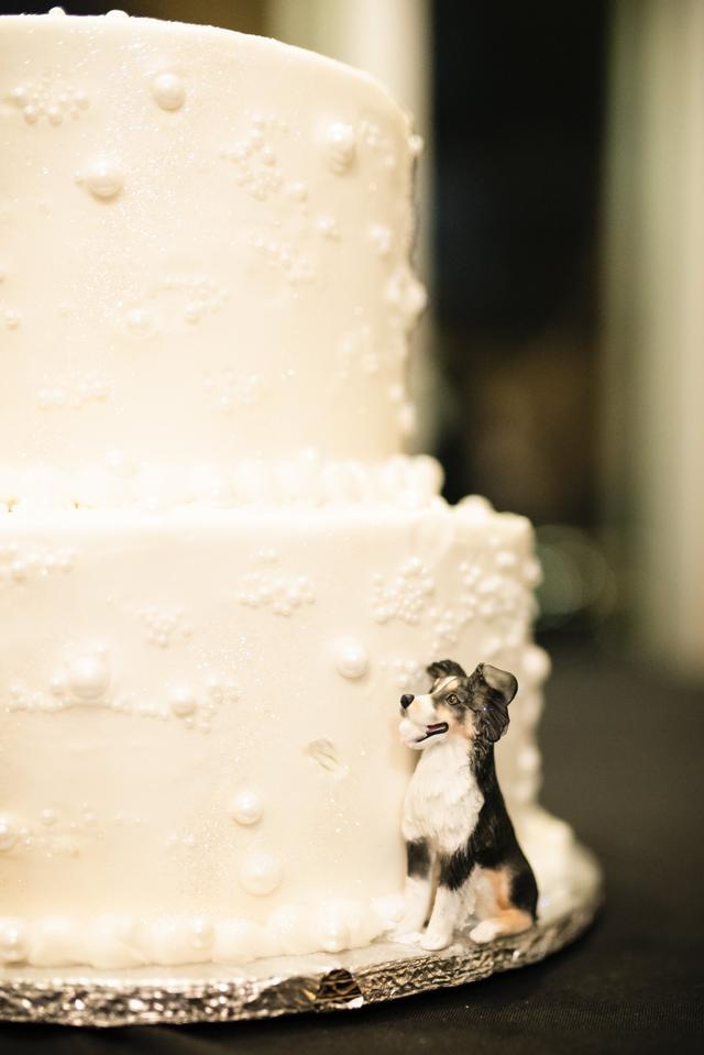 Cakes On The Move - 2