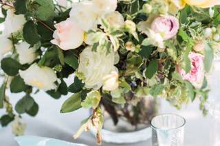 Elizabeth Warrick Fine Art Photography - 10