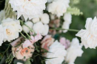 Cherry Blossom - 27