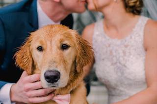 Woodland Fields Photography - 31