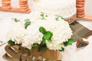 Cameron Burns Photography - 6
