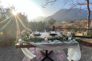 Ash + Ivy Floral Design - 11