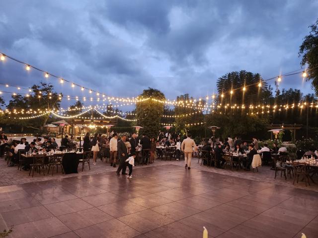 Mia Bella Weddings & Events - 1