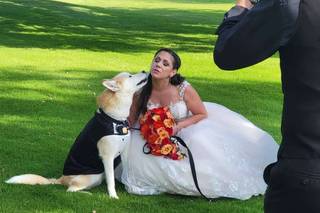 Wedding Puptials - 13