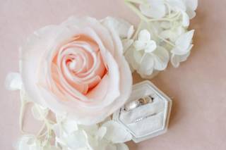 Kendall Criswell Photography - 6