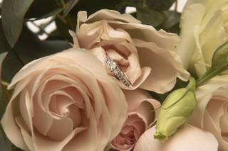Weds & Vows - 27