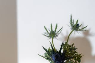 Yellow Bow Florals - 5