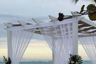 Liz Moore Destination Weddings - 9