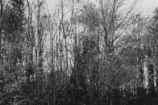The Persnickety Bride - 36