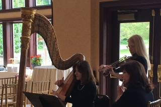 Celestial Strings 1
