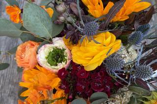 Zannah Farms - 11