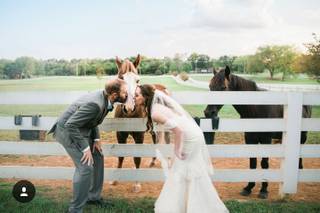 Alexis Incoranata Photography - 9