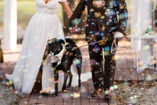 Chi Photography + Video + Photo Booth - 5