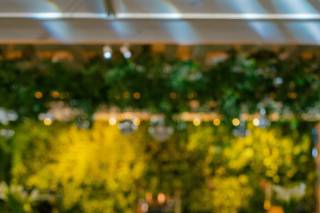 PRIMROSE Floral & Event Design - 11