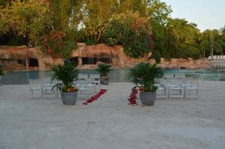 Discovery Cove, Orlando - 40