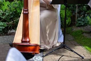 Beverly Arnold, Harpist - 8