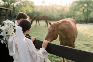 Belle Meade Historic Site & Winery - 9