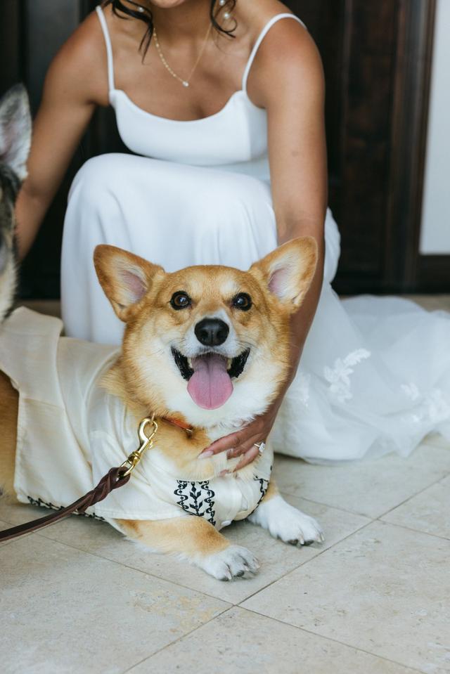 I Dog Too - Wedding Pet Attendant - 2