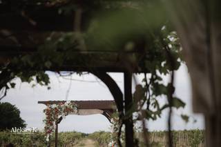 Becker Farms and Vizcarra Vineyards - 54