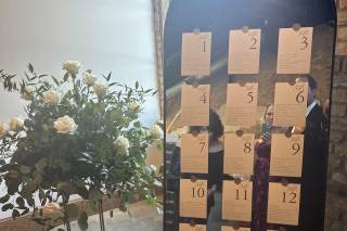 Blooming Flowers - 34