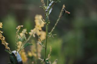AnaFinn Photography - 9