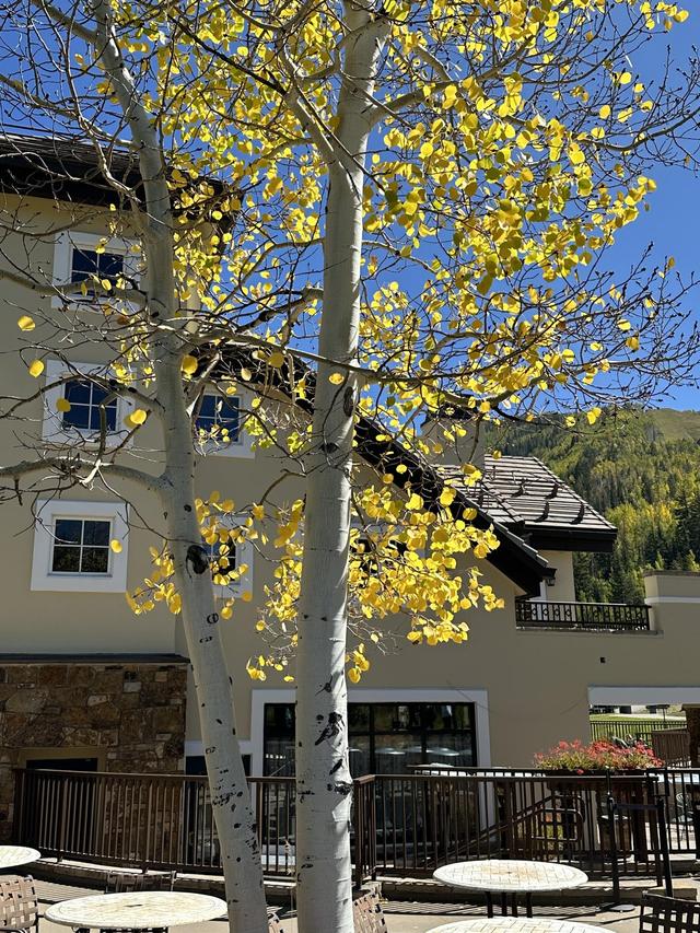 Larkspur Events & Dining - 2