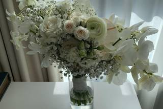 Ivory and Beau - 71